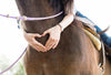 Qualities of the Doctorate of Behavioral Health & Equine Therapy