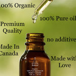 Kuhvai Set of 4 Blend Oils with Bracelet - Sleep, Calm, Immunity and