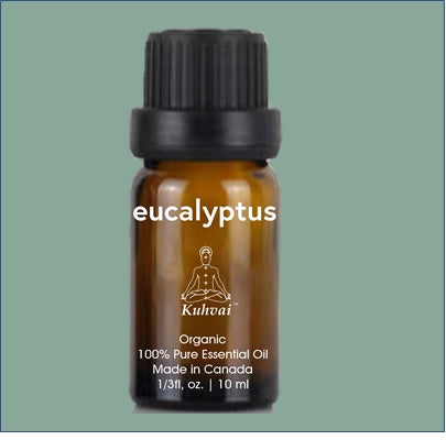 Kuhvai Organic Eucalyptus Essential Oil